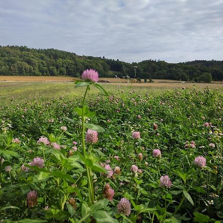 Lekanders Baer & Boende Tyfta Zewnętrze zdjęcie