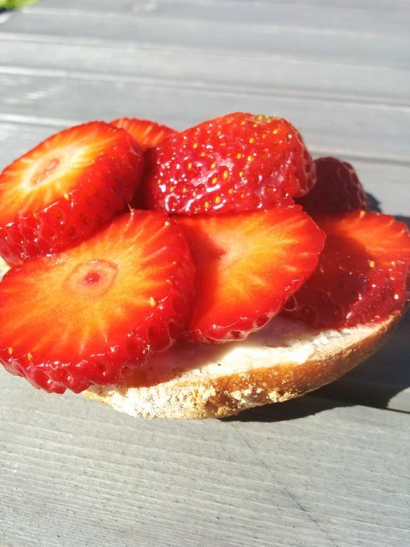 Lekanders Baer & Boende Tyfta Zewnętrze zdjęcie