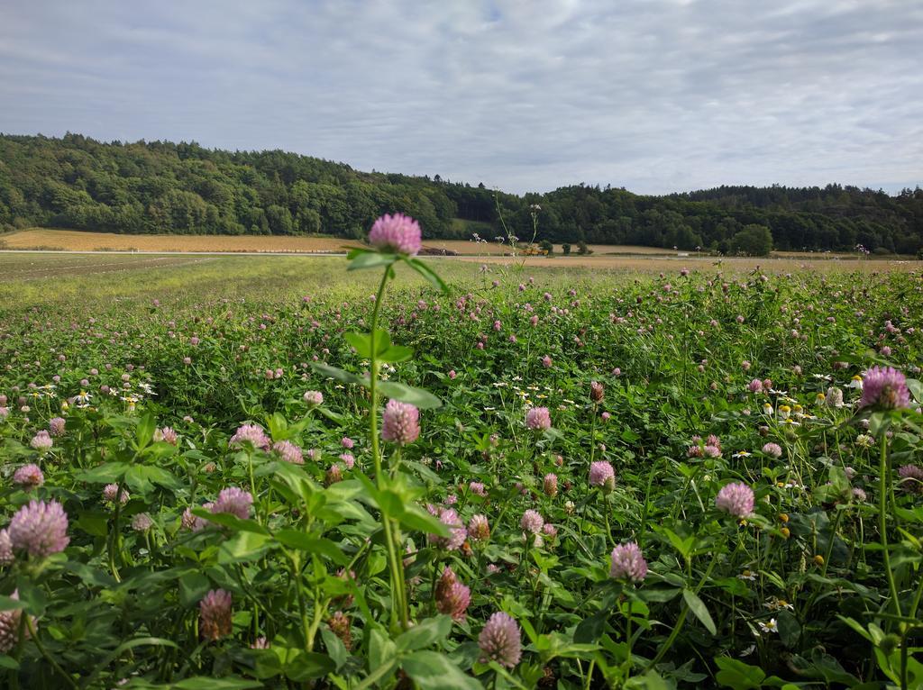 Lekanders Baer & Boende Tyfta Zewnętrze zdjęcie